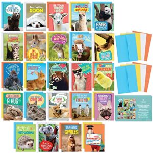 24 funny greeting cards set with envelopes – 24 unique designs with no repeats – cute 4.5” x 6.25” blank boxed animal note cards pack to say thinking of you, hello, thank you or i miss you – for friends, kids, teacher and more