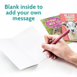 24 Funny Greeting Cards Set with Envelopes - 24 Unique Designs with No Repeats - Cute 4.5” x 6.25” Blank Boxed Animal Note Cards Pack to Say Thinking of You, Hello, Thank You or I Miss You - For Friends, Kids, Teacher and More