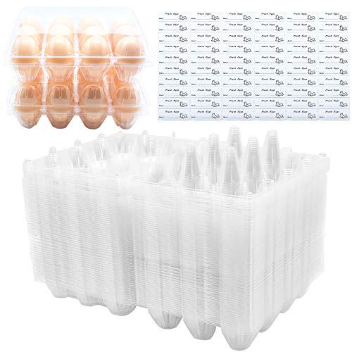 BULKBUY Egg Cartons 60 Packs, Clear Eco-friendly Plastic Blank Egg Cartons with Free Labels, Holds up to 12 Eggs Securely, Perfect for Family Pasture Farm Markets Display - Medium