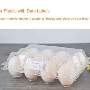 BULKBUY Egg Cartons 60 Packs, Clear Eco-friendly Plastic Blank Egg Cartons with Free Labels, Holds up to 12 Eggs Securely, Perfect for Family Pasture Farm Markets Display - Medium