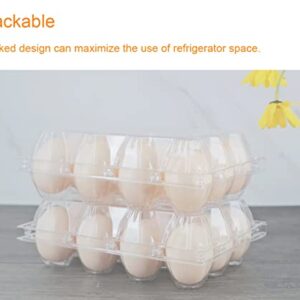 BULKBUY Egg Cartons 60 Packs, Clear Eco-friendly Plastic Blank Egg Cartons with Free Labels, Holds up to 12 Eggs Securely, Perfect for Family Pasture Farm Markets Display - Medium