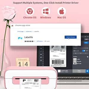 Pink Label Printer, Thermal Label Printer 4x6, Shipping Label Printer for Small Busines, Thermal Printer Compatible with Amazon, Ebay, Shopify, Etsy, UPS, FedEx, DHL, etc