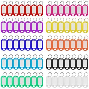 plastic key tags 220 pcs, key labels with ring and label window, key chain id tags, key identifiers for name, luggage 10 colors