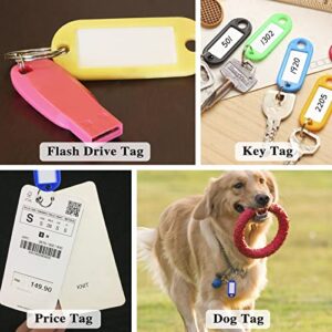 Plastic Key Tags 220 Pcs, Key Labels with Ring and Label Window, Key Chain ID Tags, Key Identifiers for Name, Luggage 10 Colors