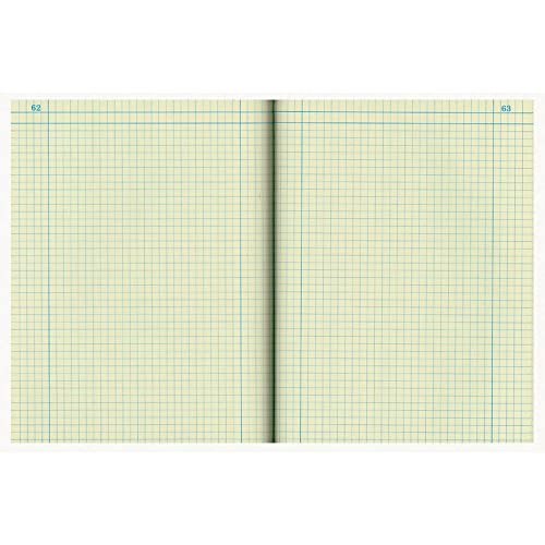 National Brand Computation Notebook, 4 X 4 Quad, Brown, Green Paper, 11.75 x 9.25 Inches, 75 Sheets (43648)