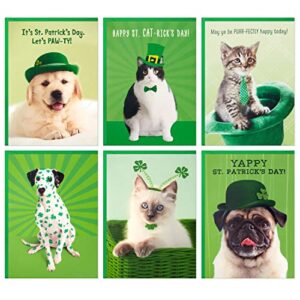 hallmark st. patricks day cards assortment, 36 cards with envelopes (cats and dogs)