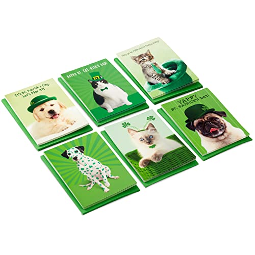 Hallmark St. Patricks Day Cards Assortment, 36 Cards with Envelopes (Cats and Dogs)