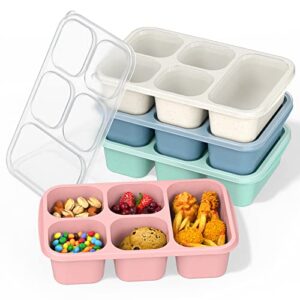 xgxn bento box adult lunch box (4 pack), 5-compartment meal prep container for kids, reusable food storage containers with transparent lids, no bpa, microwaveable (wheat (green/blue/pink/beige))
