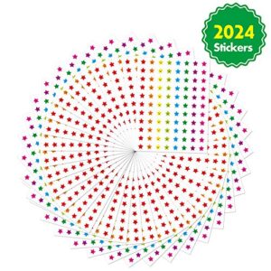 66 Pack Classroom Incentive Chart in 2 Designs with 2024 Star Stickers for Classroom Teaching or Family Using