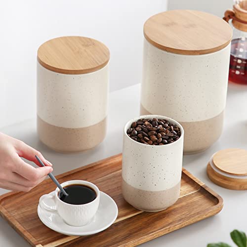 vancasso Sabine Canister Sets for Kitchen Counter, Ceramic Food Storage Jars with Airtight Wood Lids, Large Kitchen Canisters for Coffee, Sugar, Tea, Flour, Spice (Set of 3)