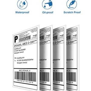 POLONO Label Printer, PL420 4x6 Thermal Printer, High-Speed Shipping Label Printer, Commercial Direct Thermal Printer, 4x6 Thermal Labels, 200 Labels/Roll (4 Pack)