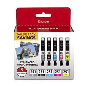 Canon CLI-251 BK/C/M/Y/GY 5 Color Value Pack Compatible to MG7520, MG5620, MG6620