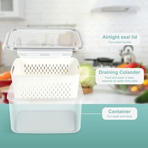 ODOMU 4 Pack Fridge Food Storage Container with Lids, Plastic Fresh Produce Saver Keeper for Vegetable Fruit Berry Salad Lettuce, BPA Free Kitchen Refrigerator Organizers Bins (4.15L+3.15L+1.7L+0.8L)