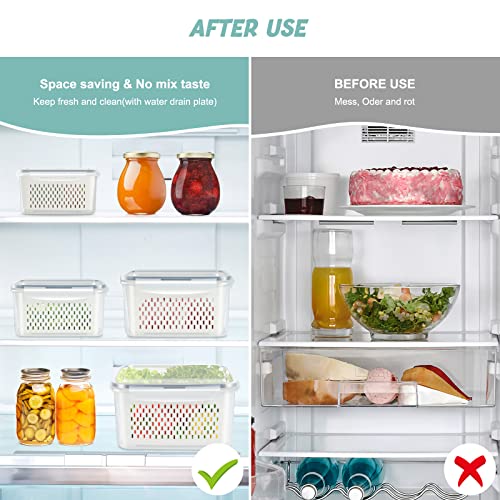 ODOMU 4 Pack Fridge Food Storage Container with Lids, Plastic Fresh Produce Saver Keeper for Vegetable Fruit Berry Salad Lettuce, BPA Free Kitchen Refrigerator Organizers Bins (4.15L+3.15L+1.7L+0.8L)