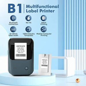 2 Inch Label Printer B1 with Tape, Wireless Bluetooth Portable Sticker Maker, Small Business Thermal Printer, Compatible iOS & Android, for All Purpose Barcode Address Text Labels (Grey)