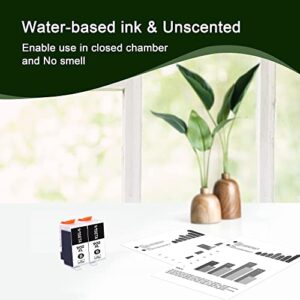 902XL Black Ink Replacement for HP 902XL 902 XL Work with Officejet Pro 6978 6960 6962 6968 6954 6958 6950 6951 6970 Printers (902XL Black Ink Cartridges, 2 Black)