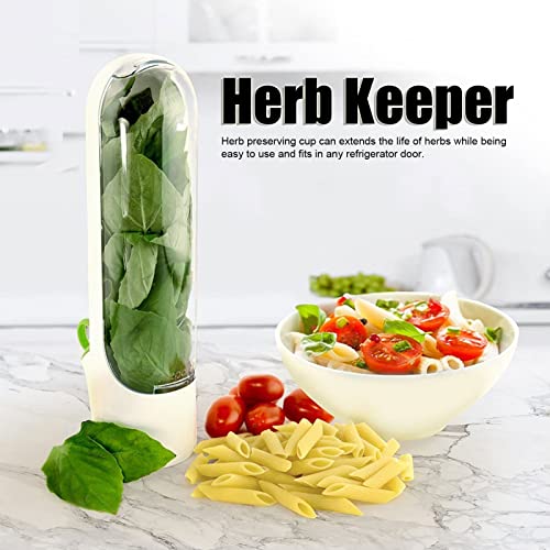 Herb Keeper, Cilantro Containers For Refrigerator, Herb Saver For Refrigerator, Herb Storage Container Glass, Keeps Greens Fresh for 2-3 Weeks, Herb Savor Pod for Cilantro, Mint, Parsley, Asparagus