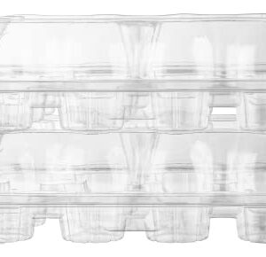 5 Cupcake Containers Plastic Disposable | High Dome Cupcake Boxes 12 Compartment Cupcake Holders Disposable Cupcake Carrier | Dozen Cupcake Trays | Durable Cup Cake Muffin Packaging Transporter