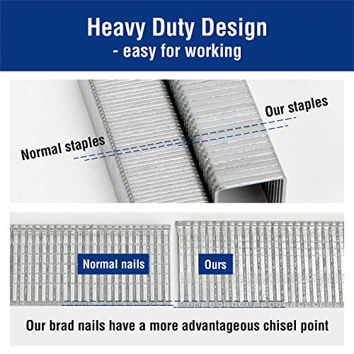 WORKPRO Heavy Duty T50 Staples and Brad Nails Combo Kit, 1/2" (12mm), 3/8" (10mm), 9/16" (15mm), Total 7500 Counts