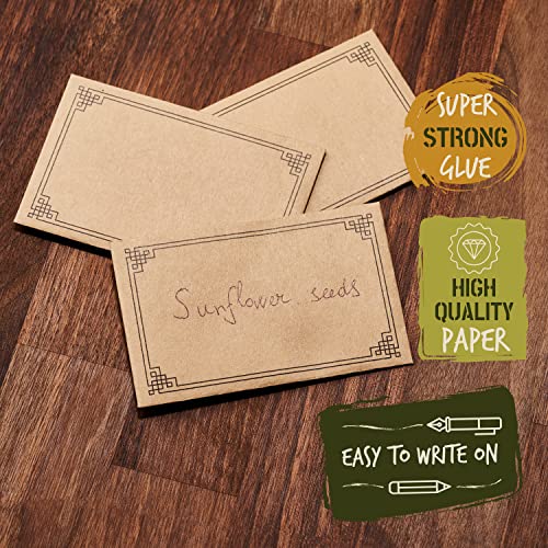 Envelex #1 Paper Coin Envelopes 2 1/4 x 3 1/2 inches - 100 Packs Premium Quality Seed Envelopes for Storage of Keys, Cards, Wage, Stamp Collection, and small items