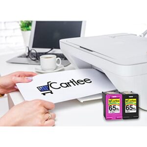 Cartlee 2 Pack Remanufactured 65XL 65 XL High Yield Ink Cartridges for HP DeskJet 2600 2622 2635 2652 2655 3700 3720 3722 3752 3755 Envy 5000 5052 5055 AMP 100 Printer Series Black and Color Combo