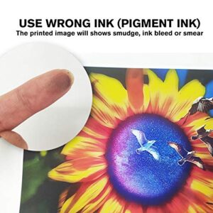 Koala Glossy Inkjet Photo Paper 8.5X11 Inches 100 Sheets Professional Glossy Photographic Paper 48lb Compatible with Inkjet Printer 180GSM