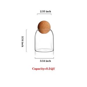 550ML/18Oz round cork glass bottle sealed jar nut storage jar coffee bean jar round transparent