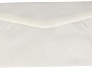 Amazon Basics #9 Double Window Security Tinted Envelopes, White, 500 ct