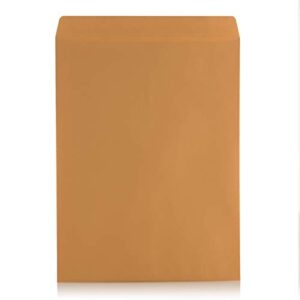 100 6 x 9 Self-Seal Brown Kraft Catalog Envelopes - 28lb, 100 Count, Ultra Strong Quick-Seal, 6x9 inch (38900)