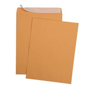 100 6 x 9 Self-Seal Brown Kraft Catalog Envelopes - 28lb, 100 Count, Ultra Strong Quick-Seal, 6x9 inch (38900)