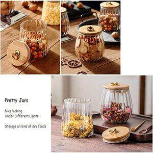 Glass Coffee Nuts Canister Airtight Storage Jar Petal Decorative Container with Bamboo Lid Metal Handle Easy to Grasp 700ml, 23 FL OZ