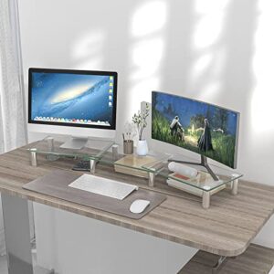 Hemudu Dual Monitor Stand -Adjustable Length and Angle Dual Monitor Riser, Computer Monitor Stand, Desktop Organizer, Monitor Stand Riser for PC, Computer, Laptop (Clear)