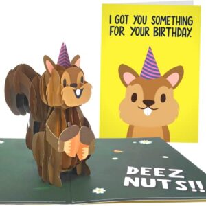 sleazy greetings squirrel pop up birthday card | funny birthday card for men women | squirrel 3d greeting cards 5×7 inch