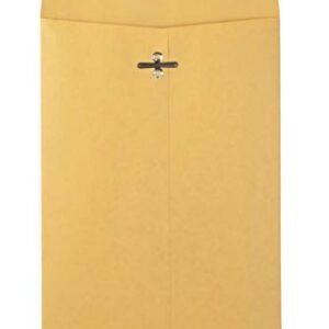 Quality Park 6" x 9" Clasp Envelopes, Brown Kraft, Gummed Flap, 100/Box (QUA37755)
