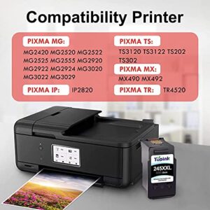 245 Ink Replacement for 245 XL Ink cartridges for Canon Printers Remanufactured Higher Yield Compatible with Canon Pixma MX490 MX492 MG2522 TS3100 TS3122 TS3300 TS3322 TS3320 TR4500 TR4520 Printer