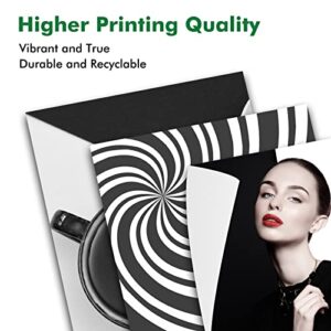Remanufactured Ink Cartridges for HP Ink 67 67XL,Black Printer Ink Replacement Combo Pack for HP Envy 6055 6052 6075 Envy Pro 6452 6455 6458 Deskjet 2732 2752 2755 Deskjet Plus 4155 4152 4140 (2Black)