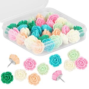 push pins for cork board – cuttte 30pcs decorative push pins with case, cute thumb tacks and push pins for bulletin board, 6 colors flower pushpins, office decor for women, cubicle desk accessories
