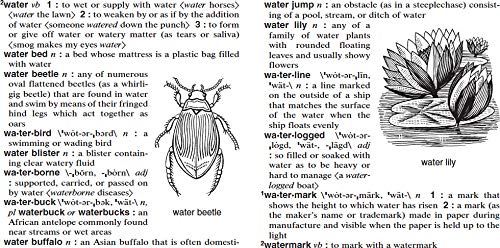 Merriam-Webster's Intermediate Dictionary, Newest Edition, (The Authoritative Middle School Dictionary)