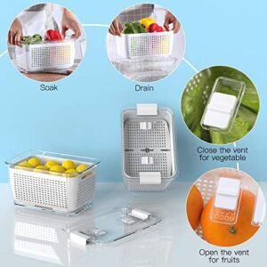 LUXEAR Vegetable Containers for Fridge Produce Saver Container Fruit Storage Organizer 3 Pack BPA-Free Fridge Organize Containerswith Lid & Colander for Salad Lettuce Berry Storage Stay Fresh