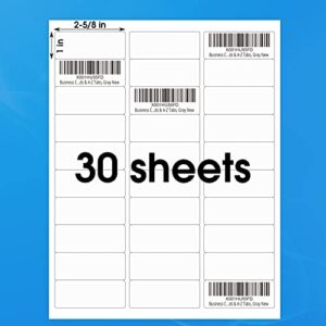 MaxGear 1" x 2-5/8" Address Mailing Sticker Labels for Inkjet or Laser Printer, Matte White Paper Sheets, Strong Adhesive, Dries Quickly, Holds Ink Well, 30 Sheets, 900 Labels