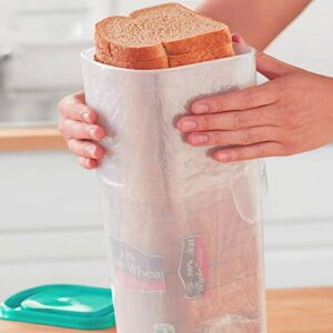 Container Plastic Storage Keeper - Sandwich Size Single Loaf Bread Box