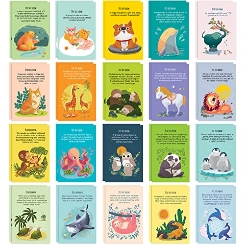 T MARIE 40 Animal Fun Fact Postcards - Bulk Thinking of You Postcard Pack for Kids, Students, Friends, Teacher, and More - Say Hello, Thank You or I Miss You with Colorful Note Cards