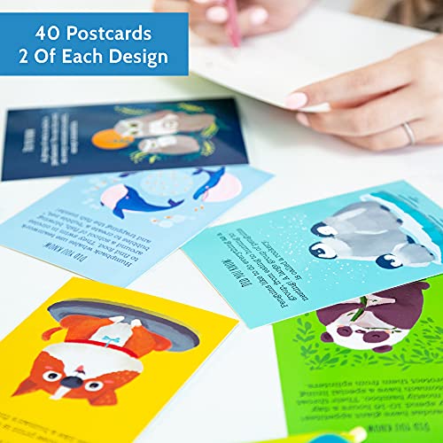 T MARIE 40 Animal Fun Fact Postcards - Bulk Thinking of You Postcard Pack for Kids, Students, Friends, Teacher, and More - Say Hello, Thank You or I Miss You with Colorful Note Cards