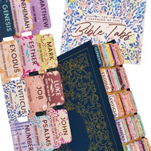 Bible Tabs Soft Pastel - Soul Nourishing Book Summaries - 66 Peel-and-Stick SilkTouch Laminated Bible Tabs Large Print | Bible Tabs for Women, Bible Tabs for Study Bible, Bible Book Tabs