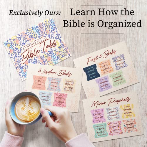 Bible Tabs Soft Pastel - Soul Nourishing Book Summaries - 66 Peel-and-Stick SilkTouch Laminated Bible Tabs Large Print | Bible Tabs for Women, Bible Tabs for Study Bible, Bible Book Tabs