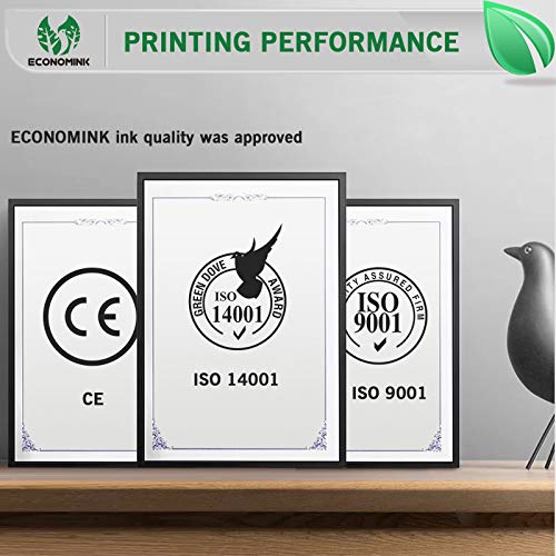 Economink Remanufactured Ink Cartridge Replacement for HP 67 67XL Black for DeskJet 2700 2725 2752 2755 2732 Plus 4100 4152 4155 4140 Envy 6000 6055 6052 Pro 6400 6452 6455 Printer (1 Pack)