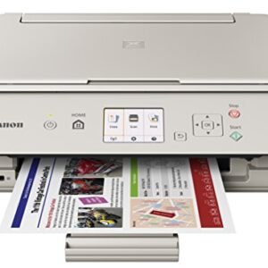 Canon Office Products PIXMA TS5020 GY Wireless color Photo Printer with Scanner & Copier, Gray