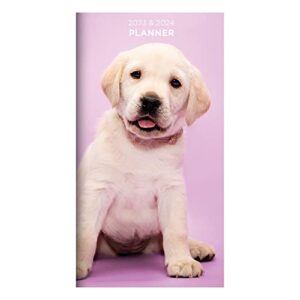 tf publishing puppies small monthly pocket daily planner 2023-2024 | pocket calendar 2023-2024 for purse | daily planner 2023 – 2024 | agenda 2023 | calender 2023 small planner | 3.5″ x 6.5″