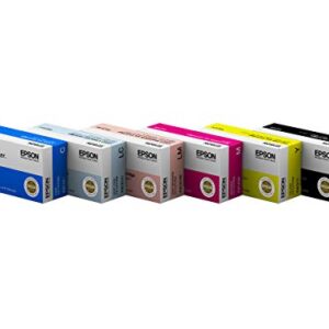 Epson DiscProducer PP-100 Ink Cartridge 6 Color Set in Retail Packaging