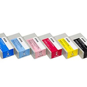 Epson DiscProducer PP-100 Ink Cartridge 6 Color Set in Retail Packaging